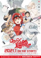 Hataraku Saibou!!