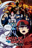 Cells at Work! CODE BLACK!