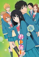 Kimi ni Todoke 